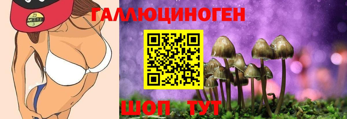 Псилоцибиновые грибы GOLDEN TEACHER  купить наркоту  Кунгур  Галлюциногенные грибы мицелий  Вход с VPN 